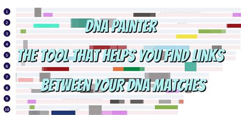 dna painter tool|dna painter for free.